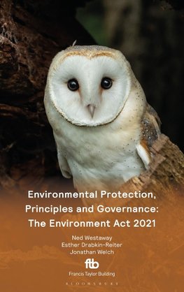 Environmental Protection, Principles and Governance