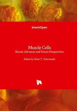 Muscle Cells