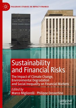 Sustainability and Financial Risks