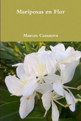 Mariposas en Flor