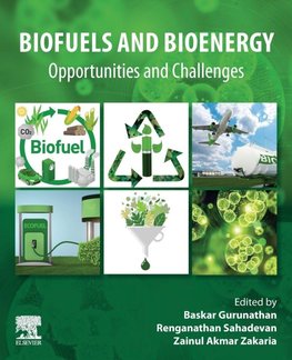 Biofuels and Bioenergy