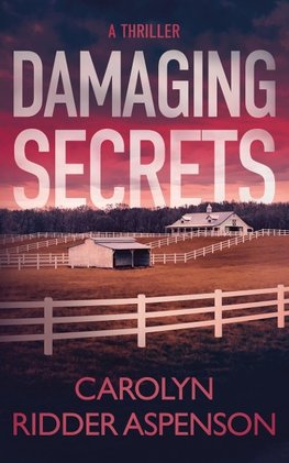 Damaging Secrets