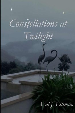 Constellations at Twilight