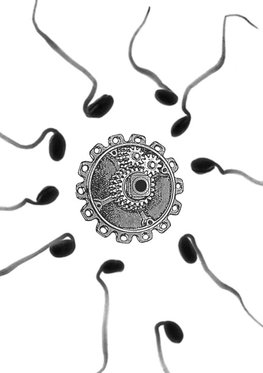 The Invention of Mother