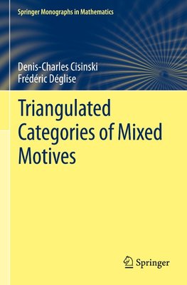 Triangulated Categories of Mixed Motives