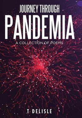 Journey Through Pandemia