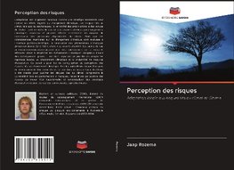 Perception des risques