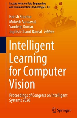 Intelligent Learning for Computer Vision