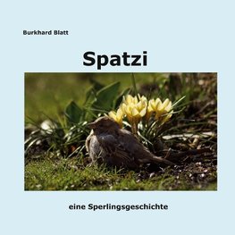 Spatzi