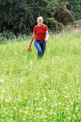 WILDPFLANZEN - Mein Superfood