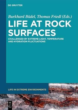 Life at Rock Surfaces
