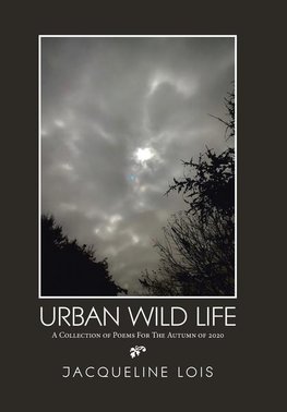 Urban  Wild   Life