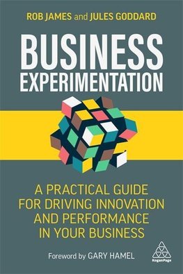 Business Experimentation