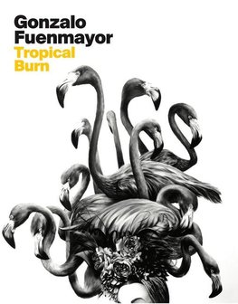 Gonzalo Fuenmayor