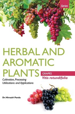 HERBAL AND AROMATIC PLANTS -  Vitis rotundifolia (GRAPES)