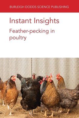 Instant Insights