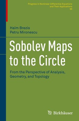 Sobolev Maps to the Circle