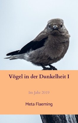 Vögel in der Dunkelheit I