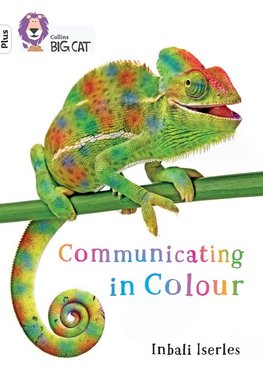BIG CAT_COMMUNICATE IN COLOUR