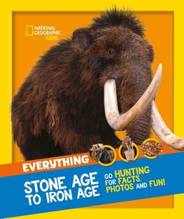 NG EVERYTHING STONE AGE PB