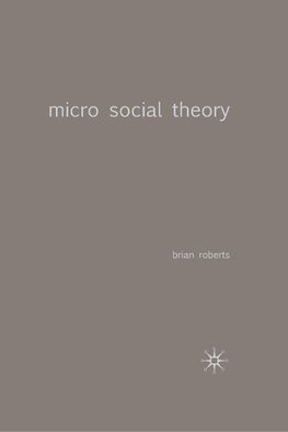 Micro Social Theory
