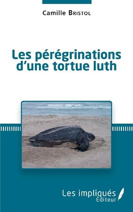 Les pérégrinations d'une tortue luth