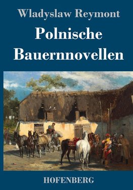 Polnische Bauernnovellen