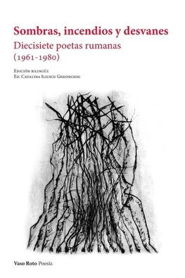 Sombras, incendios y desvanes