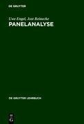 Panelanalyse