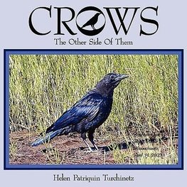 CROWS