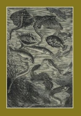 Carnet ligné