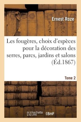 Les fougères, choix des espèces les plus remarquables pour la décoration des serres