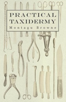 Practical Taxidermy