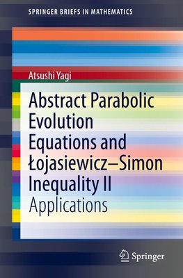 Abstract Parabolic Evolution Equations and ¿ojasiewicz-Simon Inequality II
