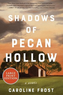 Shadows of Pecan Hollow LP