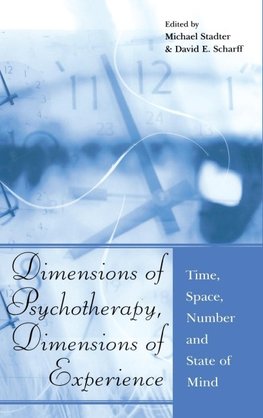 Dimensions of Psychotherapy, Dimensions of Experience
