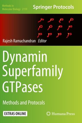Dynamin Superfamily GTPases