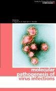 Molecular Pathogenesis of Virus Infections