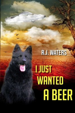 I Just Wanted a Beer