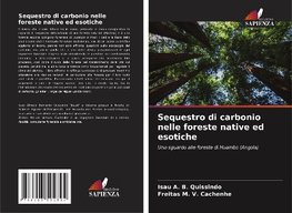 Sequestro di carbonio nelle foreste native ed esotiche
