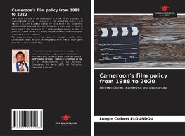 Cameroon's film policy from 1988 to 2020