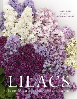 LILACS HB