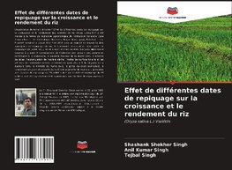 Effet de différentes dates de repiquage sur la croissance et le rendement du riz