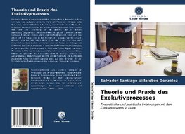 Theorie und Praxis des Exekutivprozesses