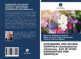GEWINNUNG VON GELBEN SÄMPFELN (Zantedeschia elliotiana), AUS IN VITRO GERMINATION VON SÄMPFELN"
