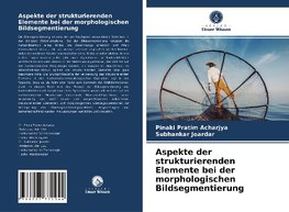 Aspekte der strukturierenden Elemente bei der morphologischen Bildsegmentierung