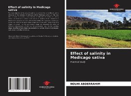 Effect of salinity in Medicago sativa
