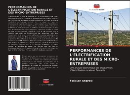 PERFORMANCES DE L'ÉLECTRIFICATION RURALE ET DES MICRO-ENTREPRISES