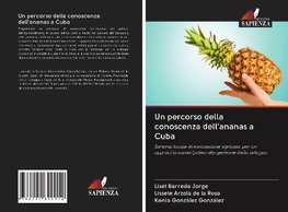 Un percorso della conoscenza dell'ananas a Cuba