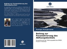 Beitrag zur Parametrierung des Abflusspotentials